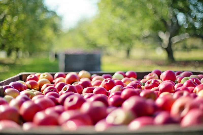 Mythical Orchards