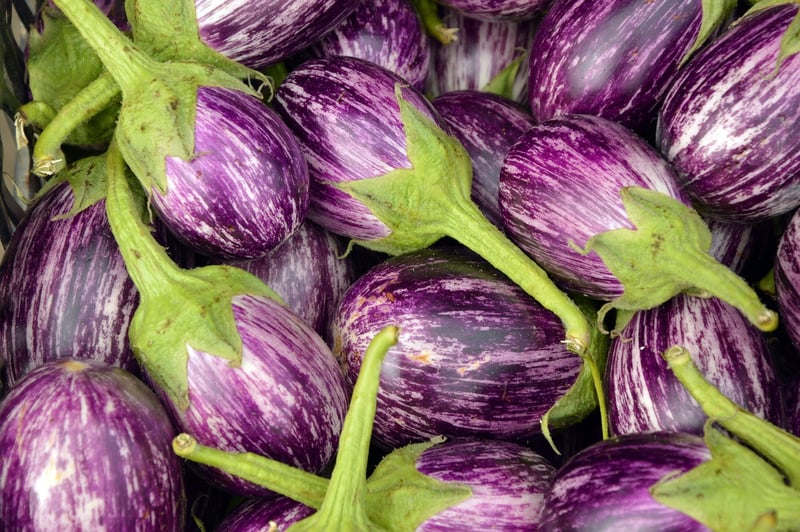 Sorcerer's Eggplants